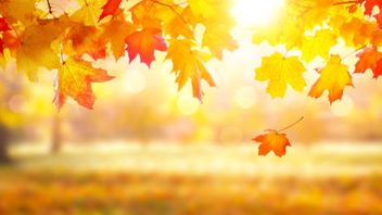 PRA sets out observations of firms’ levels of embeddedness of climate-related financial risk