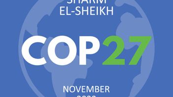 COP27: Energy Day - UK highlights