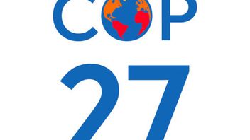 COP27: carbon market / Article 6 rules - key takeaways