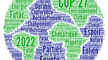 COP27 - A just transition: viewpoint from South Africa