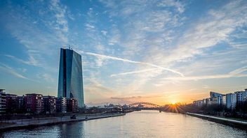 NGO ClientEarth withdraws lawsuit against ECB’s quantitative easing programme