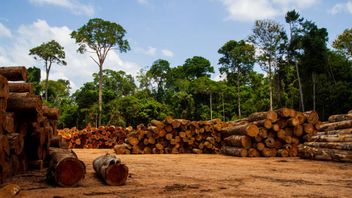 Political agreement reached on EU Deforestation Due Diligence Proposal
