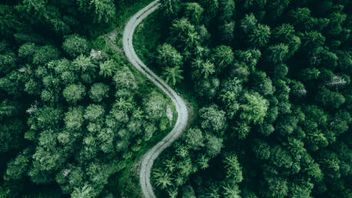 Greening up its Act? UK’s CMA gives a steer regarding imminent draft Sustainability Guidance and expands investigation into green claims