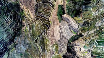 EU Proposal for a Directive on Corporate Sustainability Due Diligence: potential impact on businesses in Asia