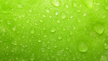 Green is for go - first agreement proceeds under UK competition and sustainability rules