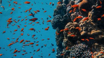 What will the FCA's proposed consumer duty mean for consumer redress?