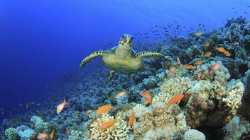 The FCA's proposed consumer duty could take asset managers by surprise