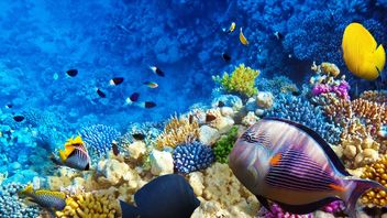 Perception is reality - metrics for measuring the success of the FCA's Consumer Duty