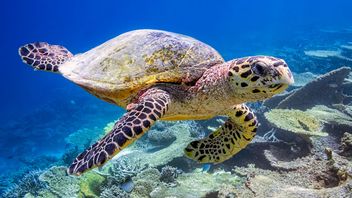 There are serious questions about how asset managers will implement the consumer duty