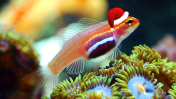 Twelve Days of Consumer Duty #11: oversight of outsourced providers