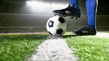 How level should the regulatory playing field be?