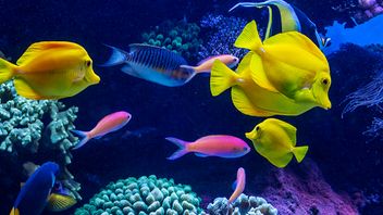 Five key messages from the FCA's feedback on firms' Consumer Duty implementation plans