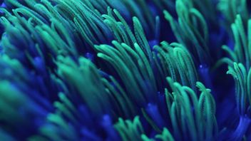 The Consumer Duty and information exchange: how to rise to the challenge