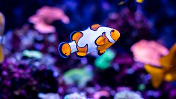 You need to think outside the box to implement the Consumer Duty. Our podcasts can help you