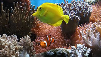 Insights from the “Nudge Unit” on behavioural biases and the Consumer Duty