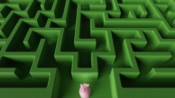 Payments firms face stricter safeguarding standards