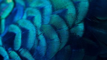 ECtHR turns up the heat on Convention Members to adequately mitigate the risks of climate change