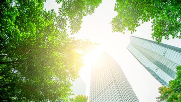 The International Sustainability Standards Board – global update