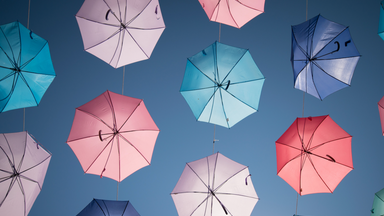 The real question for school trust leaders isn't about structure