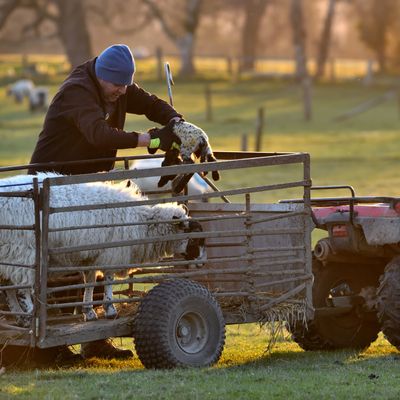 “Impossible Tax”