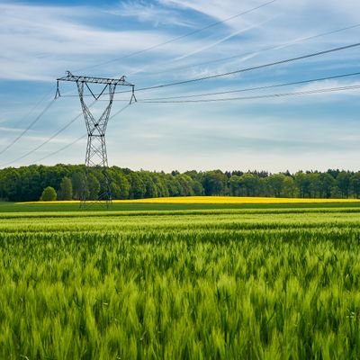 High voltage poles standing in a field under a blue sky. Juicy green fields on a colorful summer country landscape.