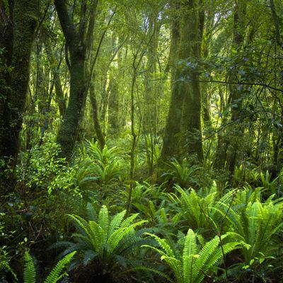 PAS-16536 external post no 1