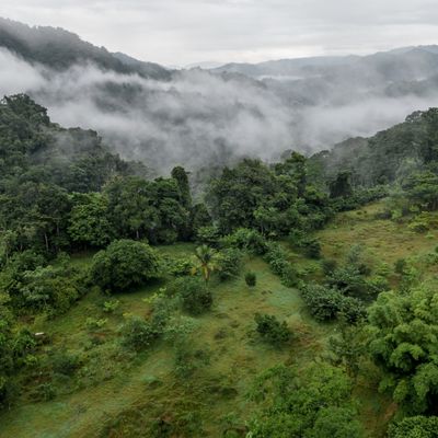 PAS-16536 external post no 3