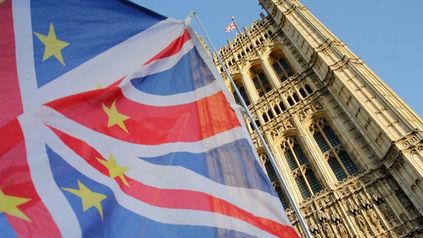 Brexit Fund Investors Survey - Optimism for the Future?