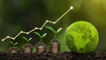 Capitalising on Sustainability
