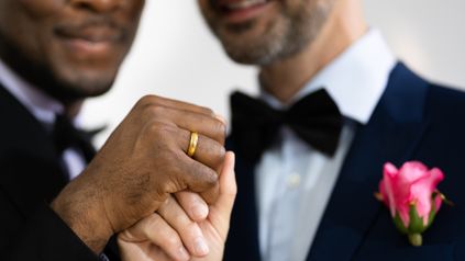 Civil partnerships and family law - another shot across the bows