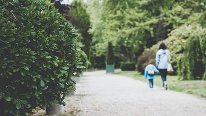 Family friendly rights and benefits back in the spotlight