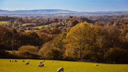 Autumn Budget 2024 – proposed changes to agricultural property relief and business property relief