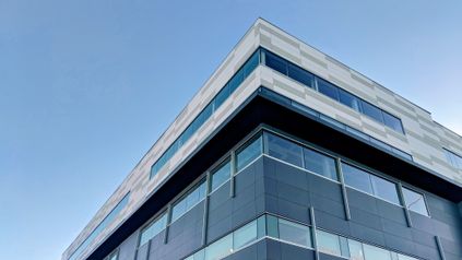 The effect for Guardianship Companies of Global 100 Limited v Laleva
