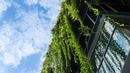 Biodiversity Net Gain - What to expect in 2023