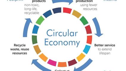 Sustainability: The Circular Economy