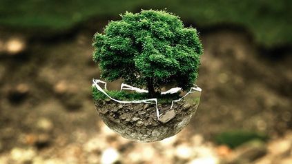 Countdown to COP26: Environmental Banking