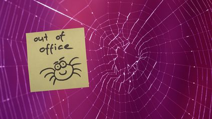 Out of office messages: an opportunity to connect?