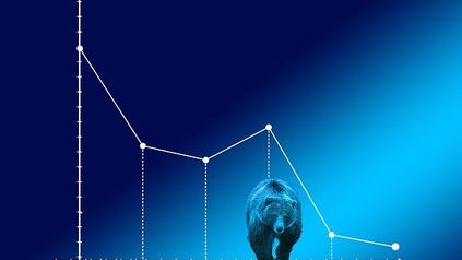 Burford's bid to unlock bear raid data fails