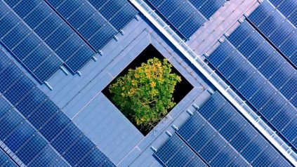The state of innovation, AI and technology in biodiversity