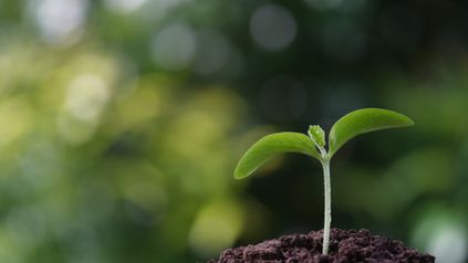 Top 5 Legal Mistakes Israeli Companies Make When Expanding into the UK