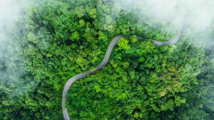From Compliance to Competitive Edge: The Growing Role of ESG in Retail