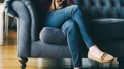 The Pet-Nup: Fighting for the Family Pet on Divorce