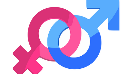 Gender not-so-neutral:  Trans rights and gender-critical views at work