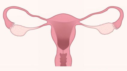 Turn and face the change... handling menopause in the workplace