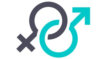 Looking ahead for 2025: sex, boardrooms and gender recognition certificates