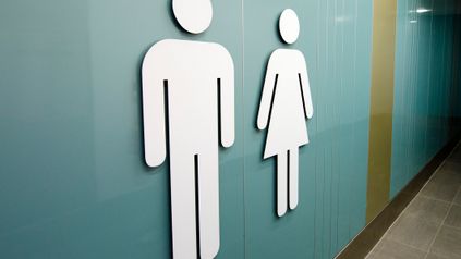 Supreme Court rules on meaning of "sex" in the Equality Act