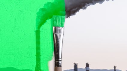 The rapid rise of greenwashing litigation
