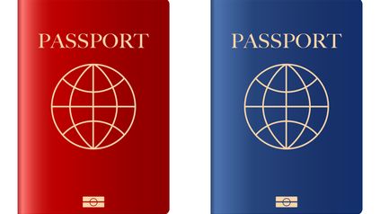 People before passports - that does sound catchy