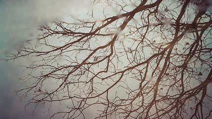 5 reasons to love film photography