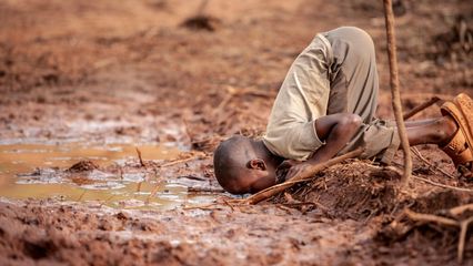 When a picture is truly worth a thousand words -  Environmental Photographer of the Year 2019